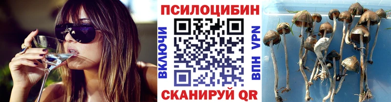 Галлюциногенные грибы Cubensis  Октябрьский 